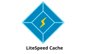 litespeed cache